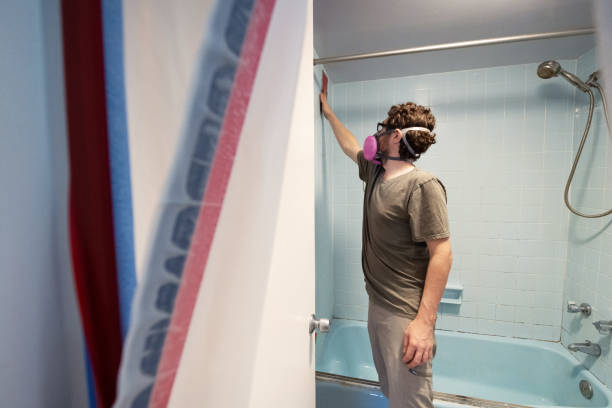 Best Basement Mold Removal  in East Whittier, CA