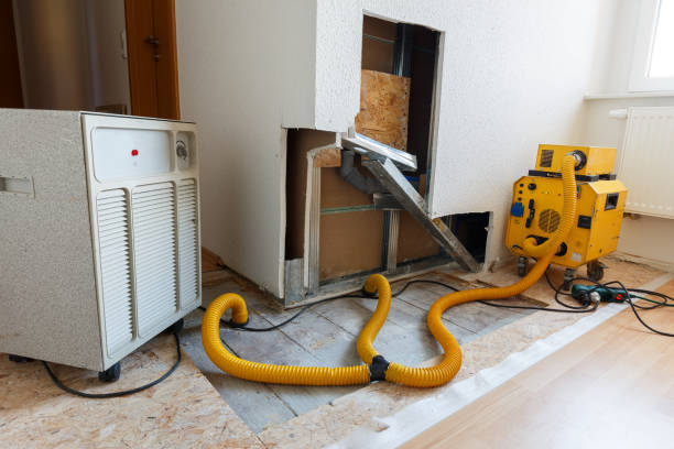 Dehumidification Services in East Whittier, CA