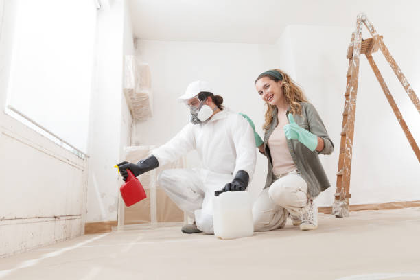 Best Mold Prevention Services  in East Whittier, CA