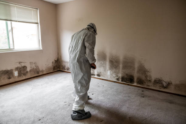 Best HVAC Mold Inspection and Cleaning  in East Whittier, CA